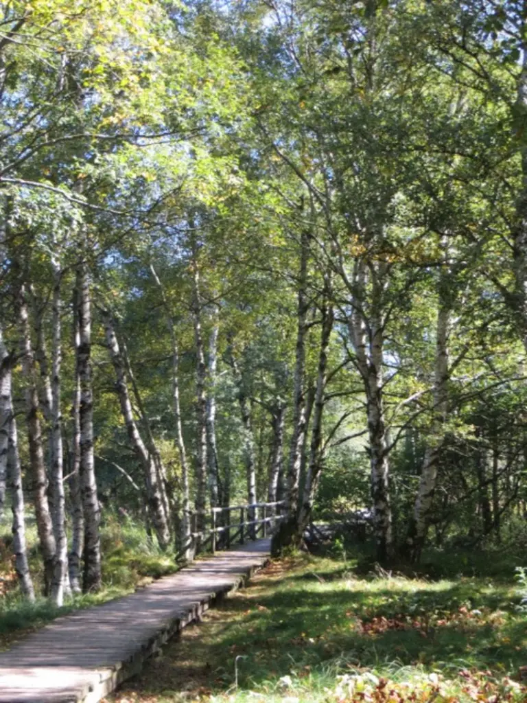 Condolence image of Axel aus dem  Regenbogenland