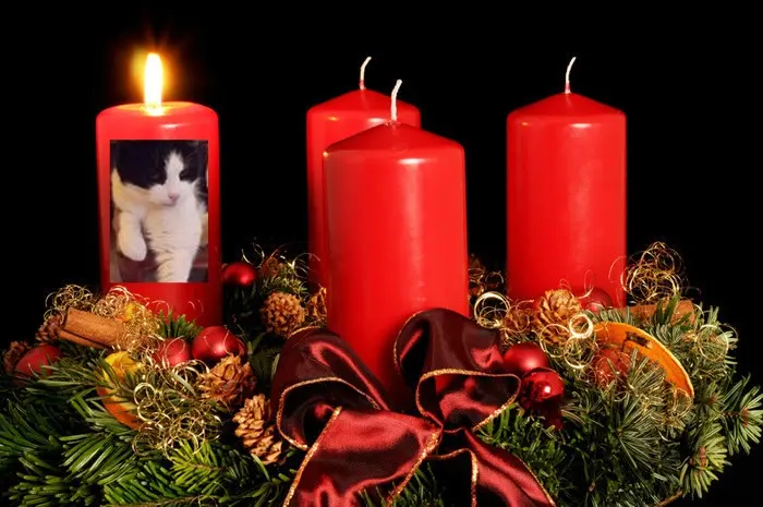 Condolence image of ❤️1. Advent❤️