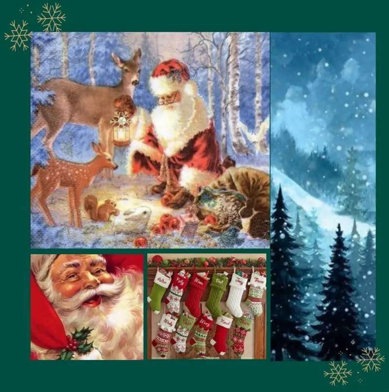 Condolence image of Rosen für Fee 