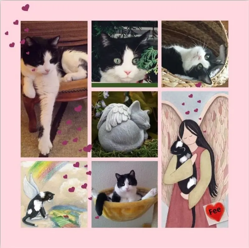 Condolence image of Rosen für Fee