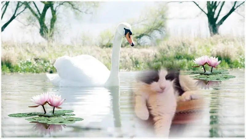 Condolence image of ❤️❤️❤️3.STERNCHEN❤️GEDENKTAG❤️