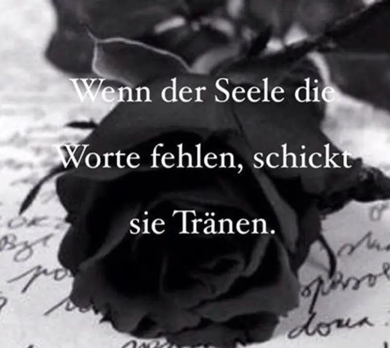 Condolence image of Ellen mit Lina ❤️