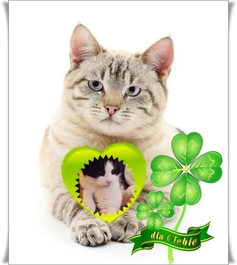 Condolence image of ❤️❤️❤️❤️❤️❤️❤️❤️❤️❤️❤️❤️❤️❤️