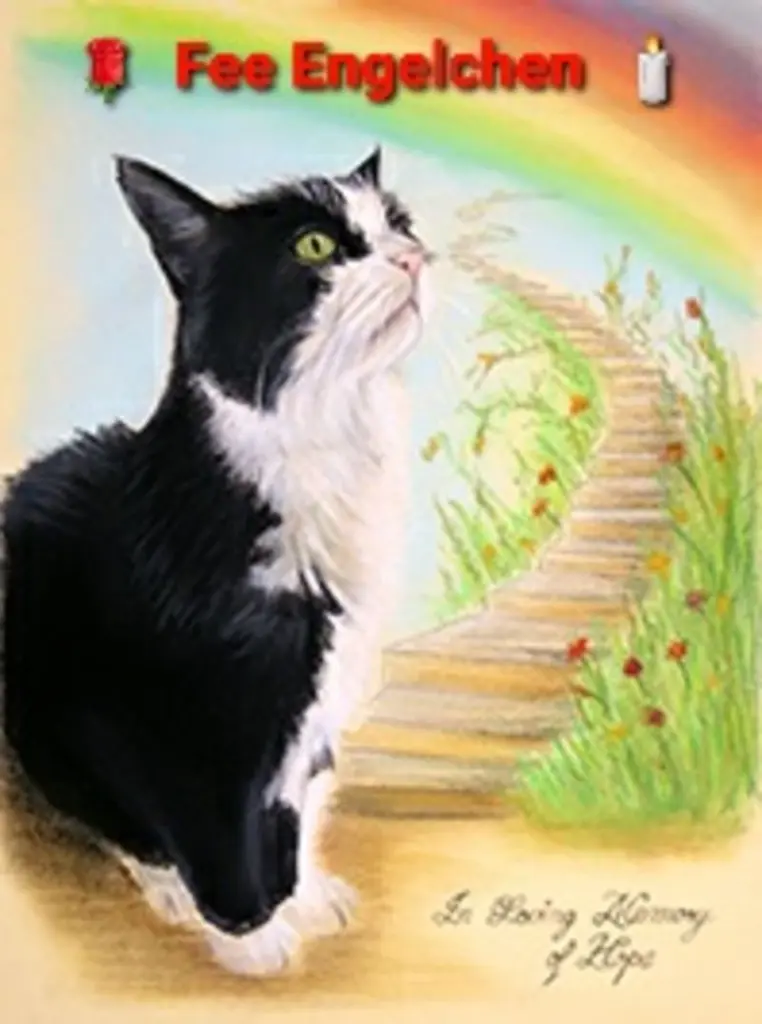 Condolence image of Tanja mit Timmy im Herzen 