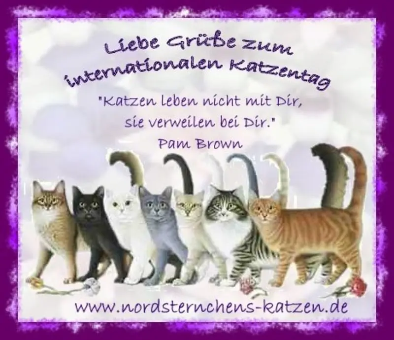Condolence image of Zum Katzentag❤️