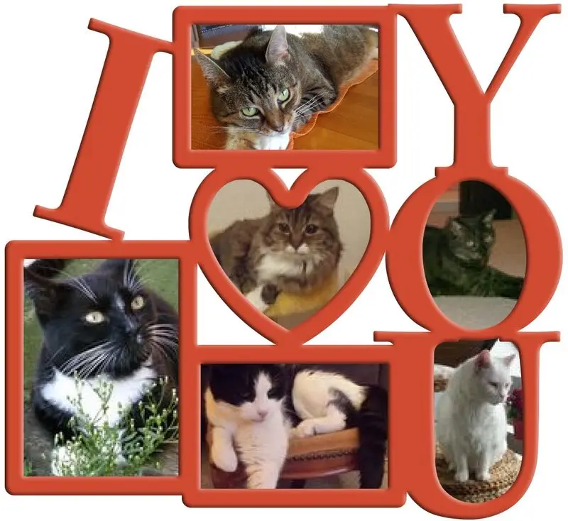 Condolence image of Fur Feeleinchen❤️