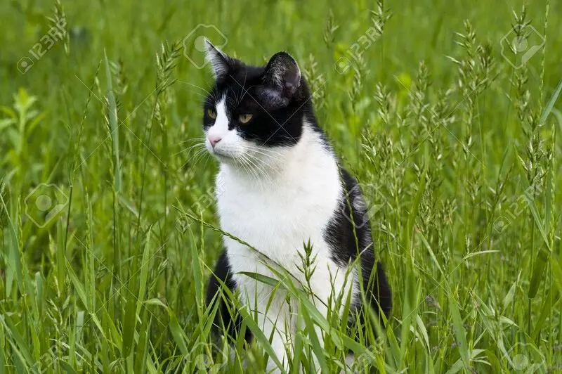 Condolence image of Tanja mit Timmy im Herzen 