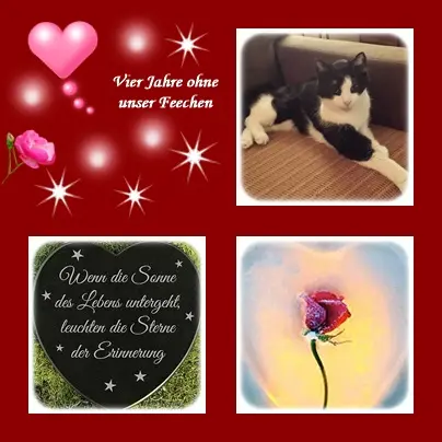 Condolence image of deiner Ilse in Liebe zum 4. Jahres-Gedenken