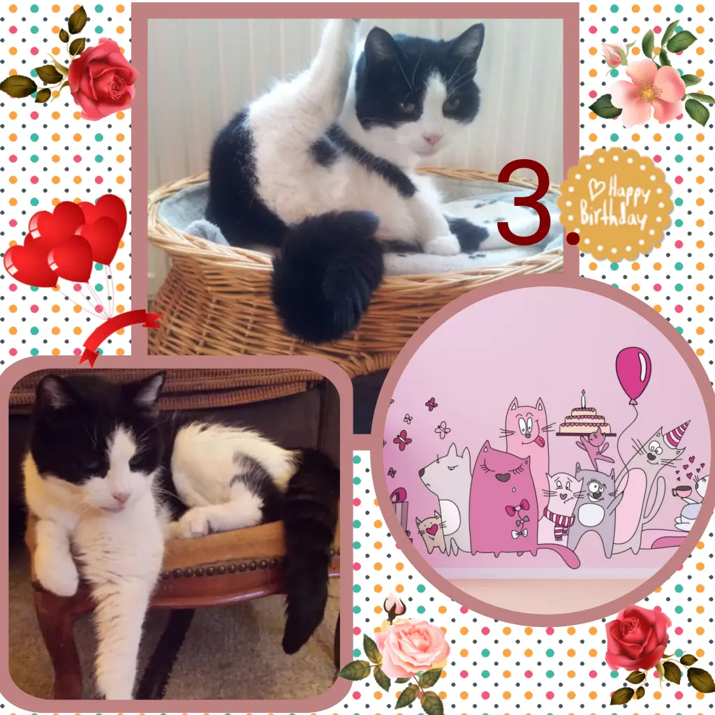 Condolence image of ❤Eike und Edeltraud ❤ 