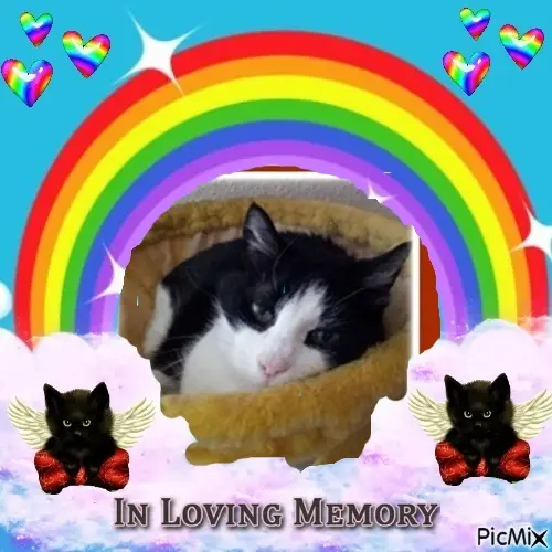 Condolence image of 5.Sternchen❤Gedenktag❤❤❤❤❤