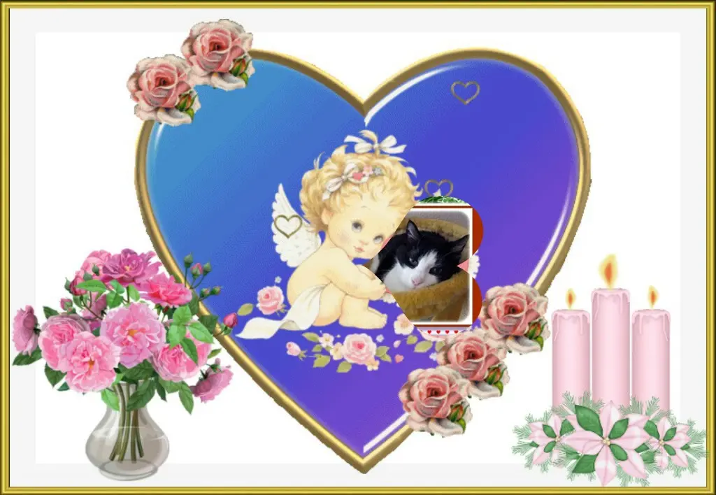 Condolence image of 5.Sternchen❤Gedenktag❤❤❤❤❤