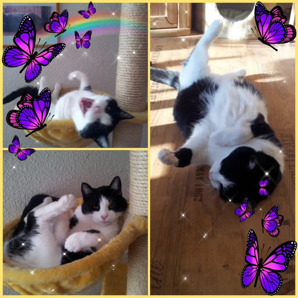 Condolence image of ❤️Eike und Edeltraud ❤️ 