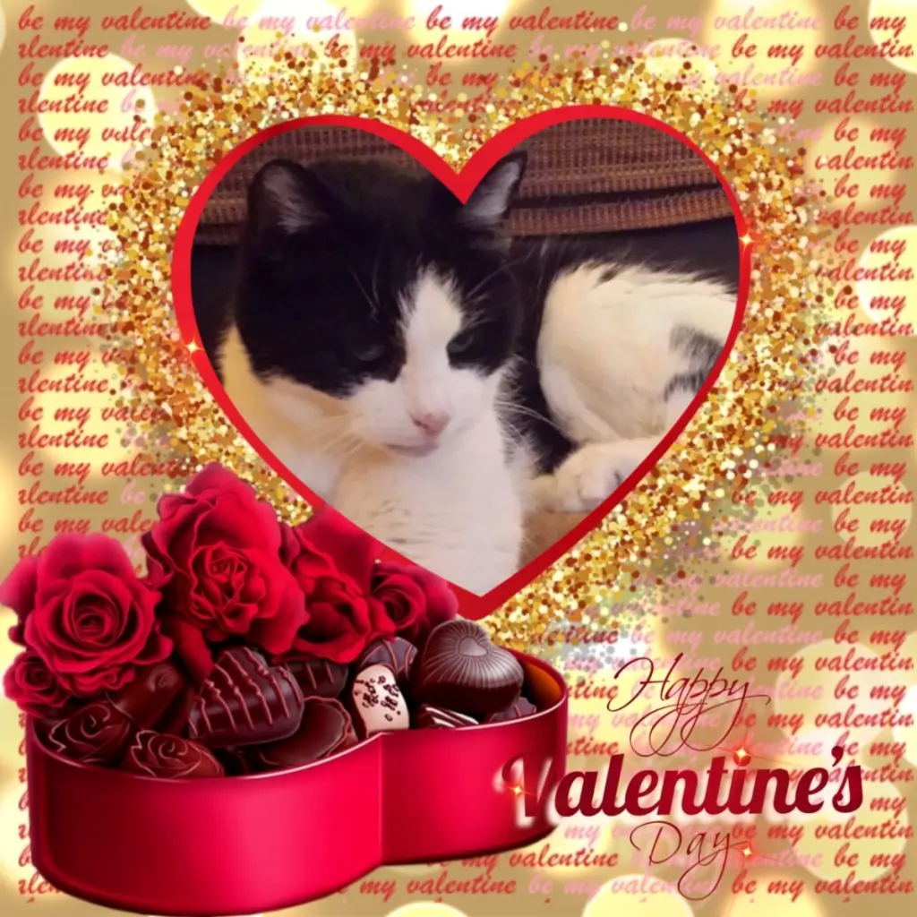 Condolence image of Valentins❤️Rosen❤️❤️❤️❤️❤️❤️❤️❤️