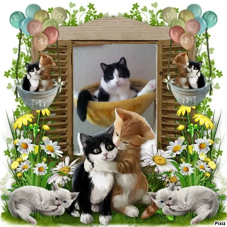 Condolence image of Tanja mit Timmy im Herzen 