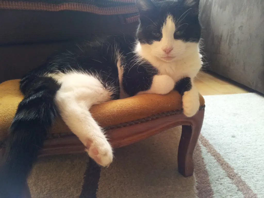 Condolence image of deiner Ilse in Liebe zum 69. Gedenkmonat