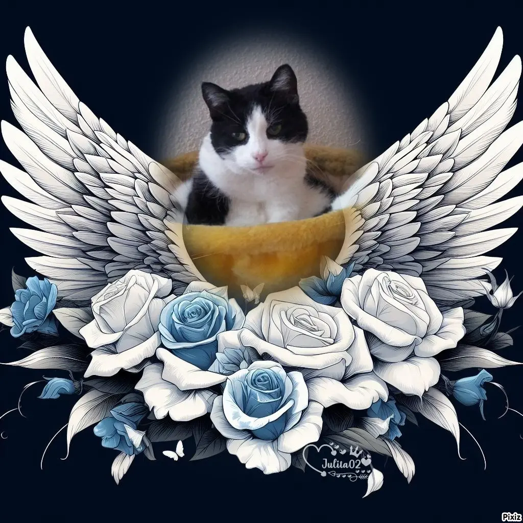 Condolence image of Tanja mit Timmy im Herzen 
