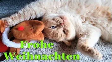 Condolence image of Weihnachtspost der Sternchen an die Tiereltern