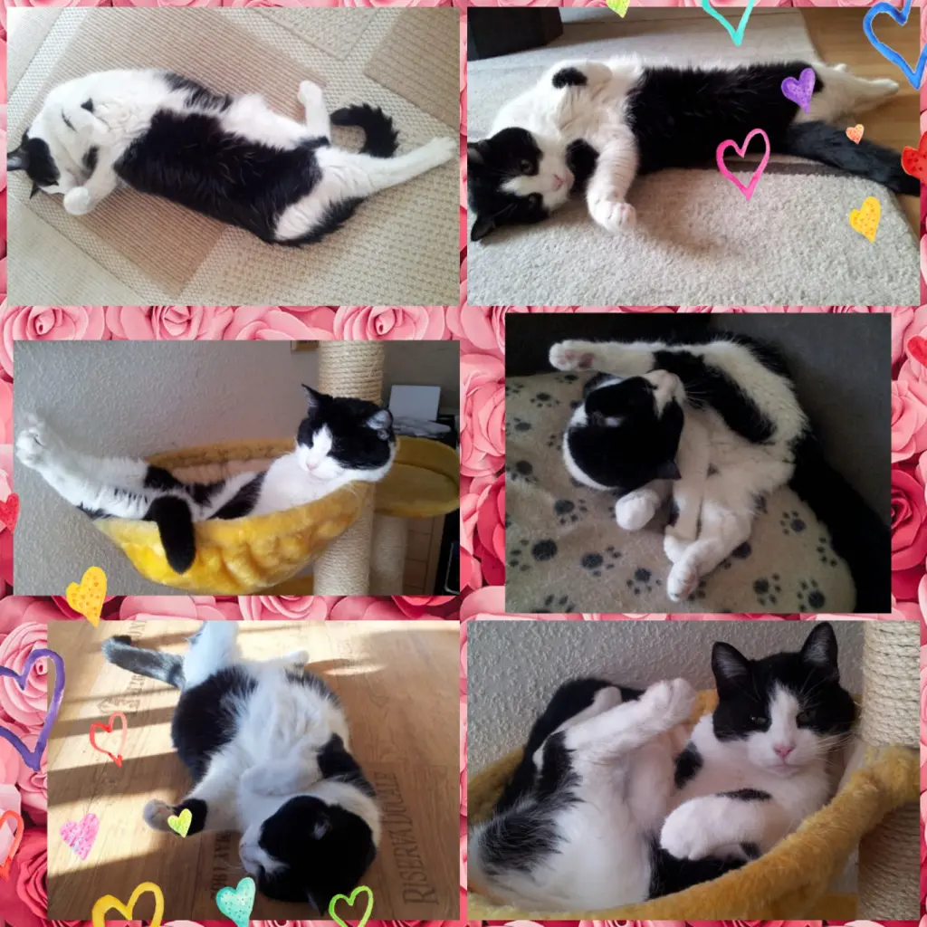 Condolence image of ❤️Eike und Edeltraud ❤️ 