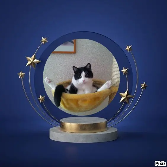 Condolence image of Tanja mit Timmy im Herzen 