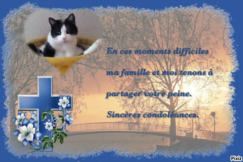 Condolence image of Tanja mit Timmy im Herzen 