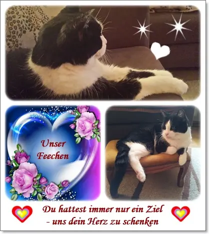 Condolence image of deiner Ilse in Liebe zum 79. Monatsgedenken