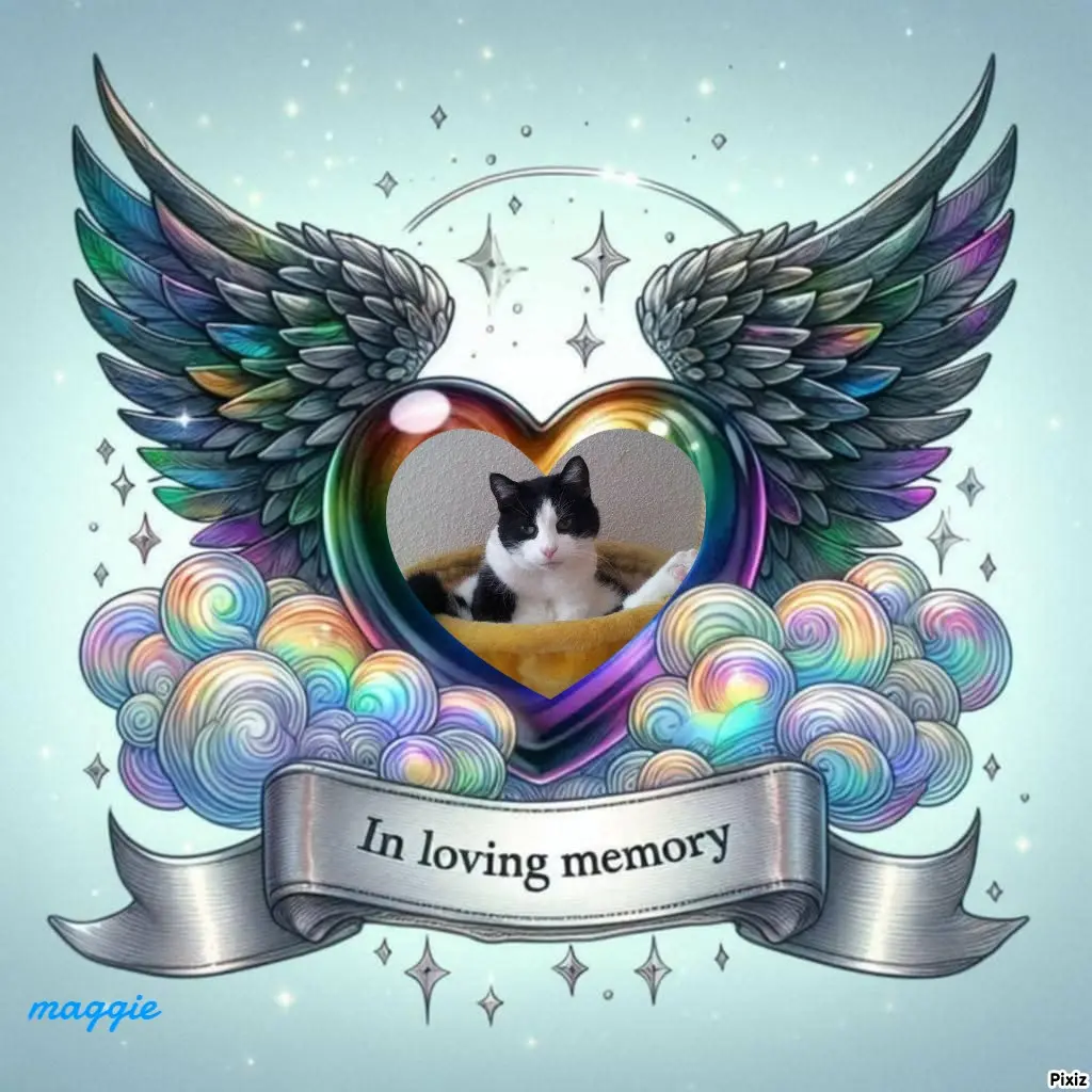 Condolence image of Tanja mit Timmy im Herzen 