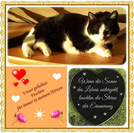 Condolence image of deiner Ilse in Liebe zum 91. Monatsgedenken