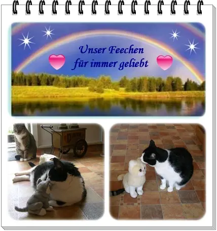 Condolence image of deiner Ilse in Liebe zum 92. Monatsgedenken