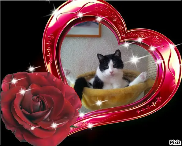 Condolence image of Tanja mit Timmy im 💘