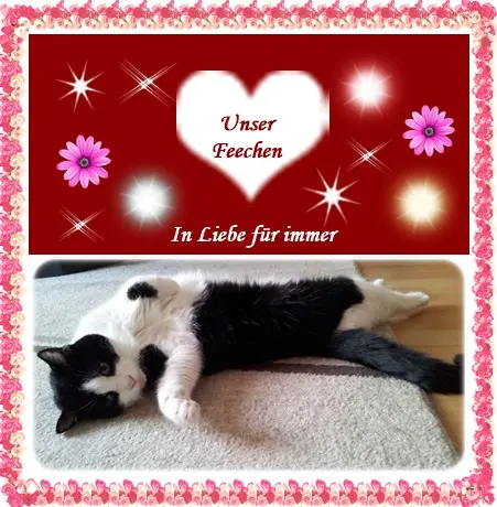 Condolence image of deine Ilse in Liebe zum 94. Monatsgedenken