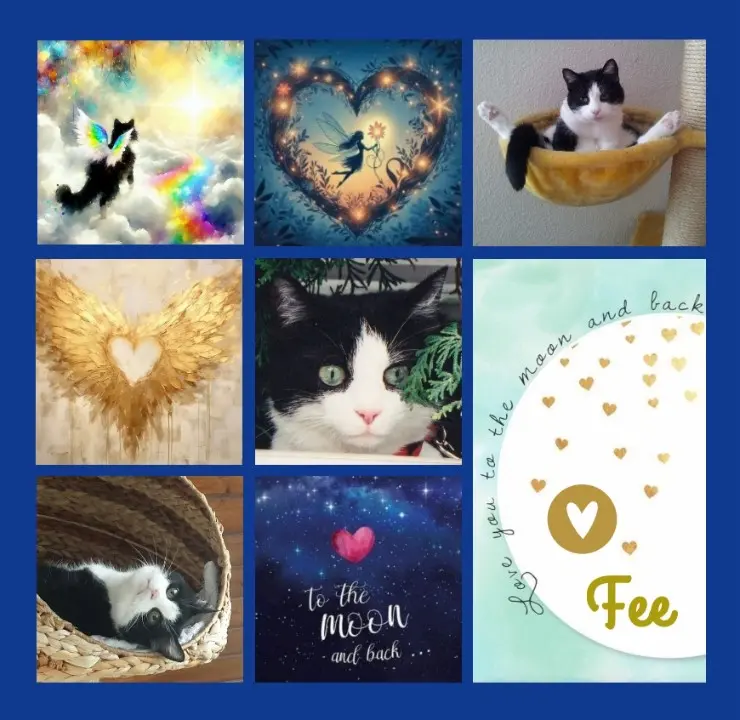 Condolence image of Ein Rosenmeer für Fee zum 8. Sternchengeburtstag