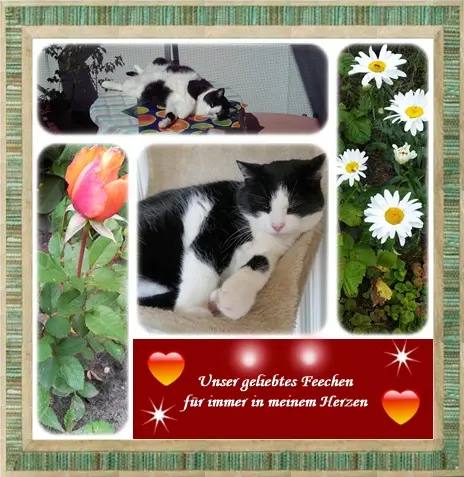 Condolence image of Deine Ilse in Liebe zum 97. Gedenkmonat