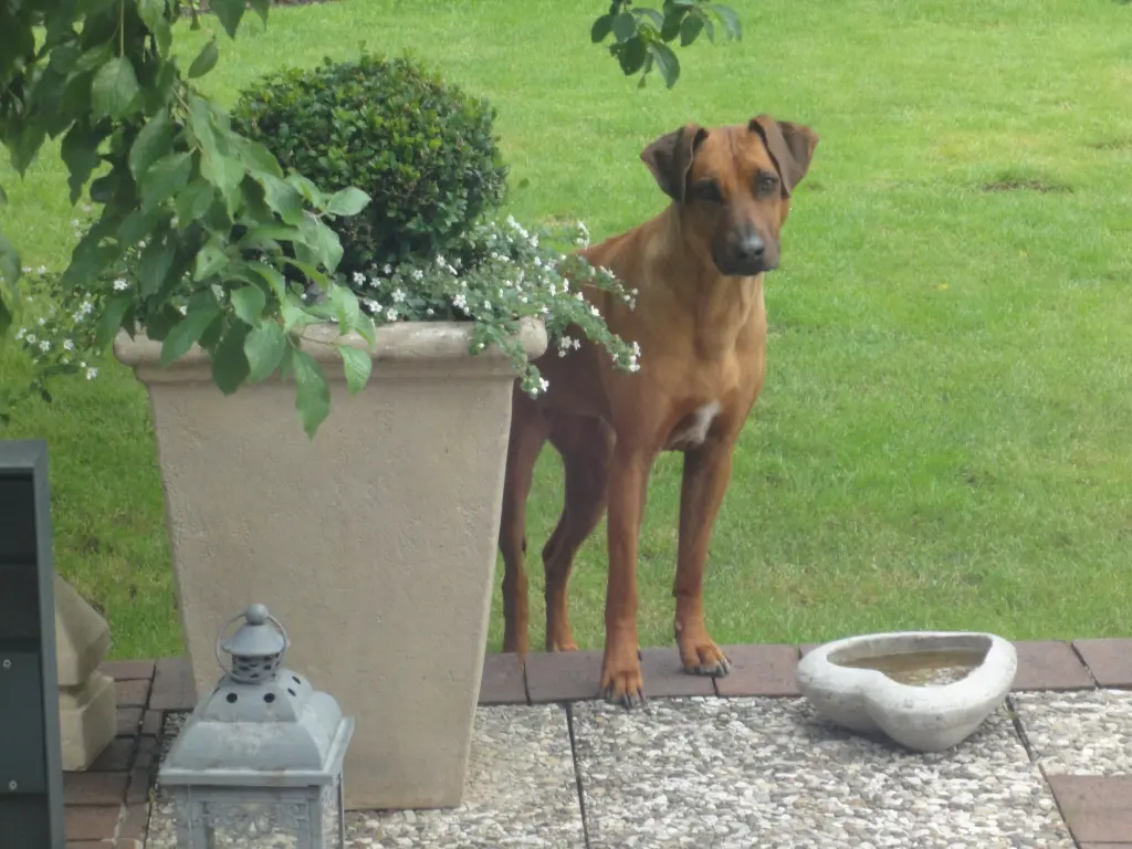 Condolence image of Hans-Jürgen