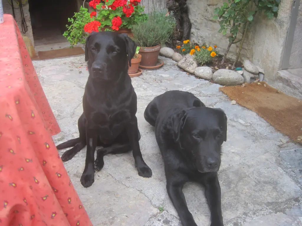 Condolence image of Burkhard