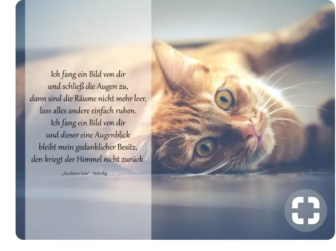 Condolence image of Birgit