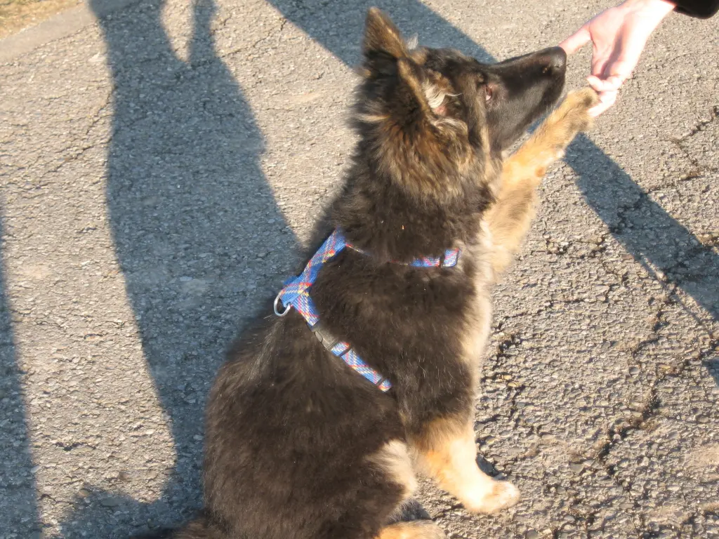 Condolence image of Brigitte und Robert
