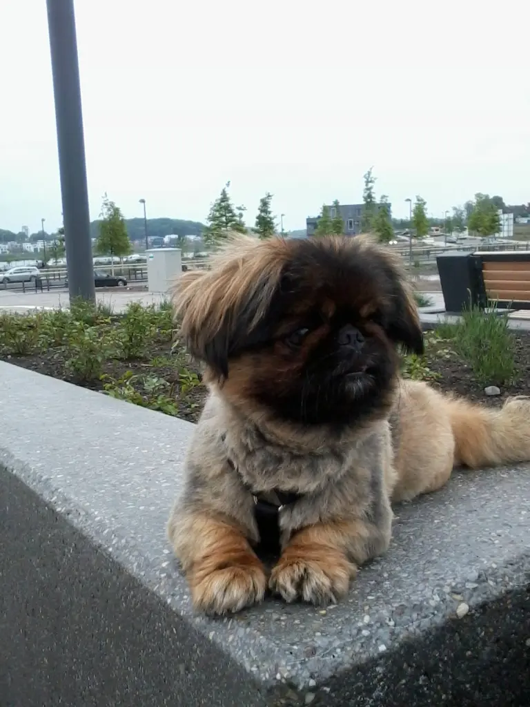 Condolence image of Mama