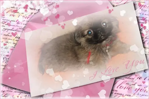 Condolence image of Mama