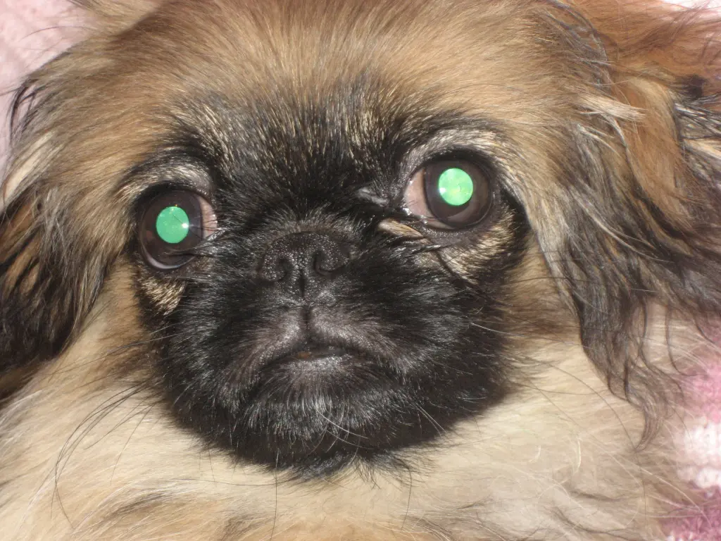 Condolence image of Mama