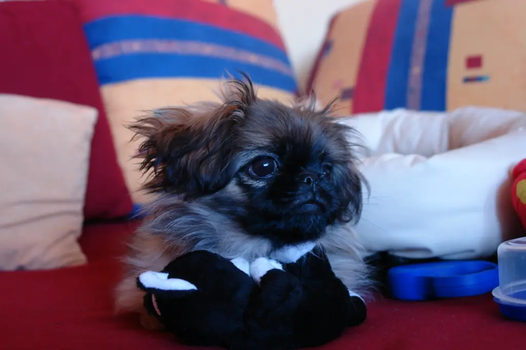 Condolence image of Mama