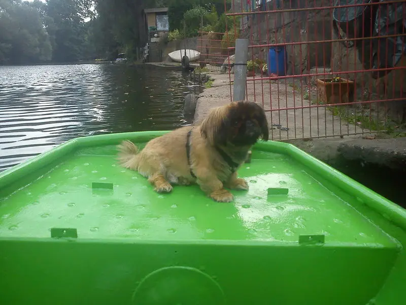 Condolence image of Mama