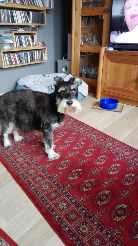 Condolence image of Marita Scherbarth