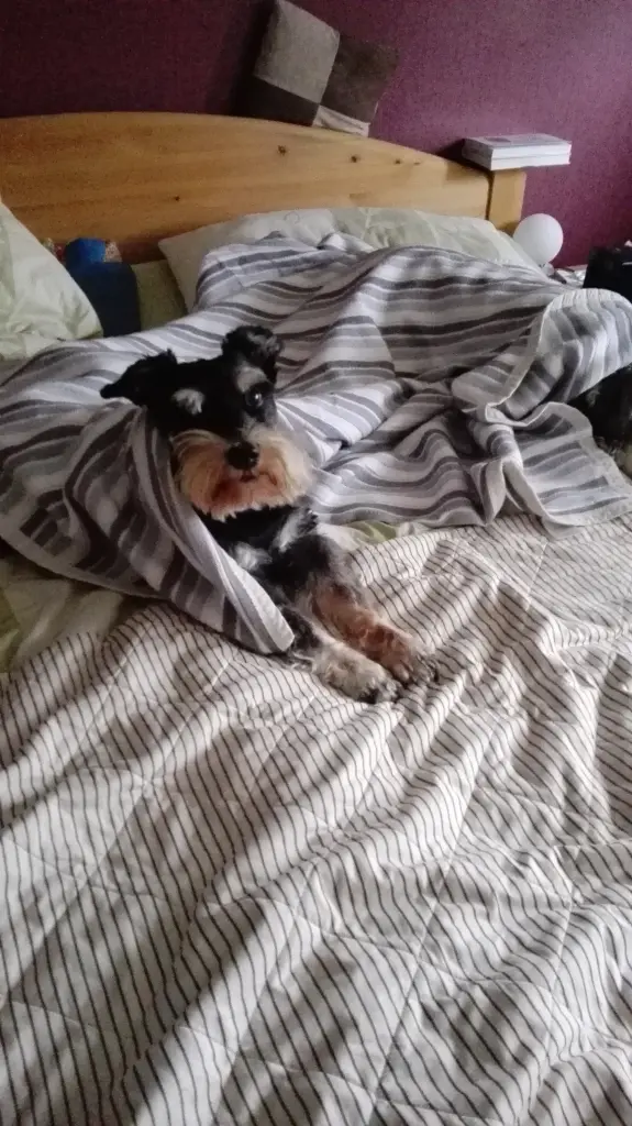 Condolence image of Marita