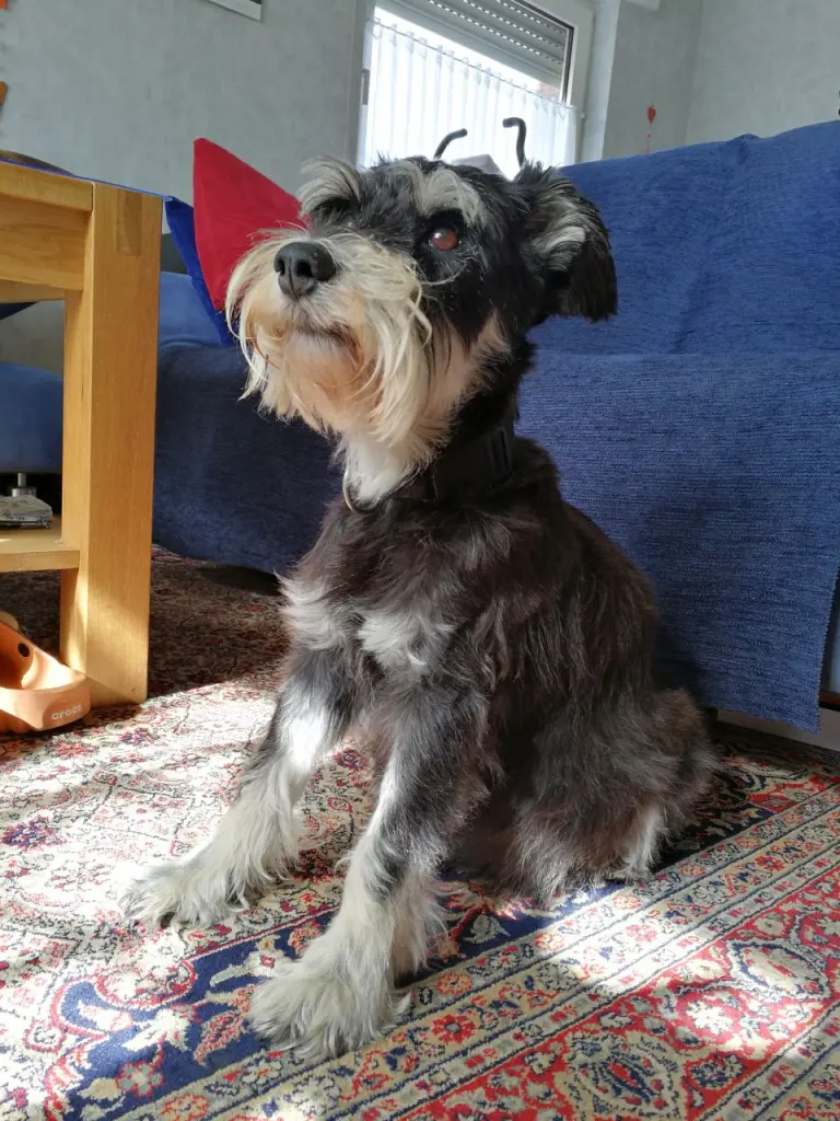 Condolence image of Marita