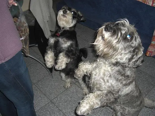 Condolence image of Unbekannt