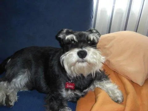 Condolence image of Marita