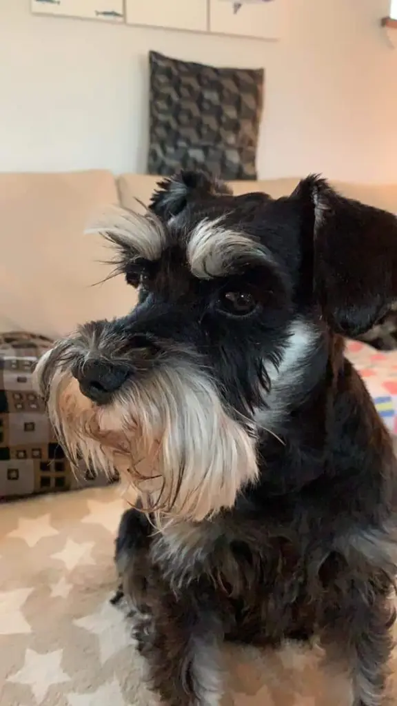 Condolence image of Marita