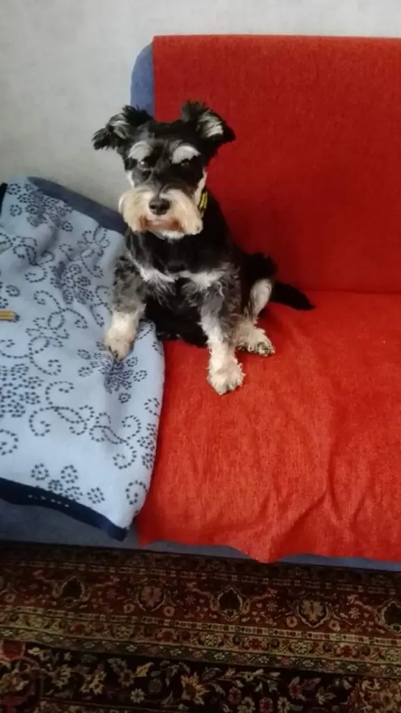 Condolence image of Marira