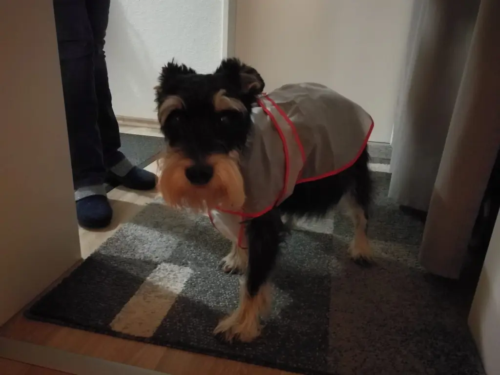 Condolence image of Marita