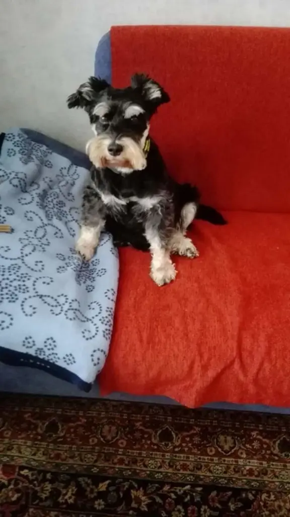 Condolence image of Marita